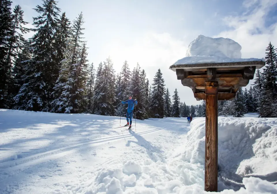 Les Saisies nordic skiing (3).webp