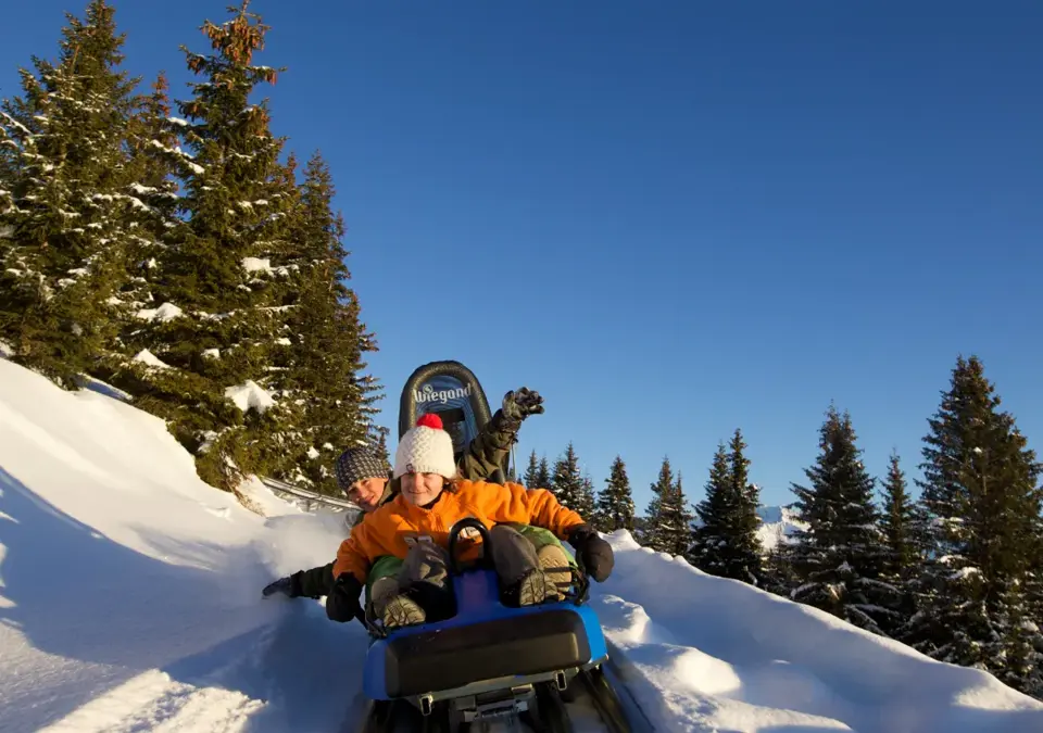 Les Saisies luge mountain coaster.webp