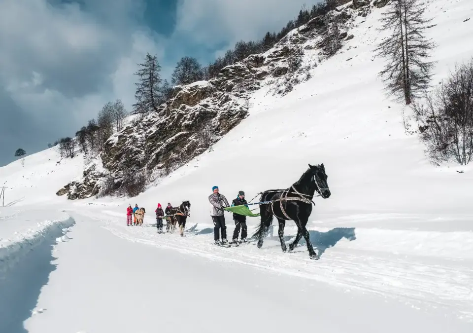 Ski joering in Peisey-Vallandry (@LezBroz).webp