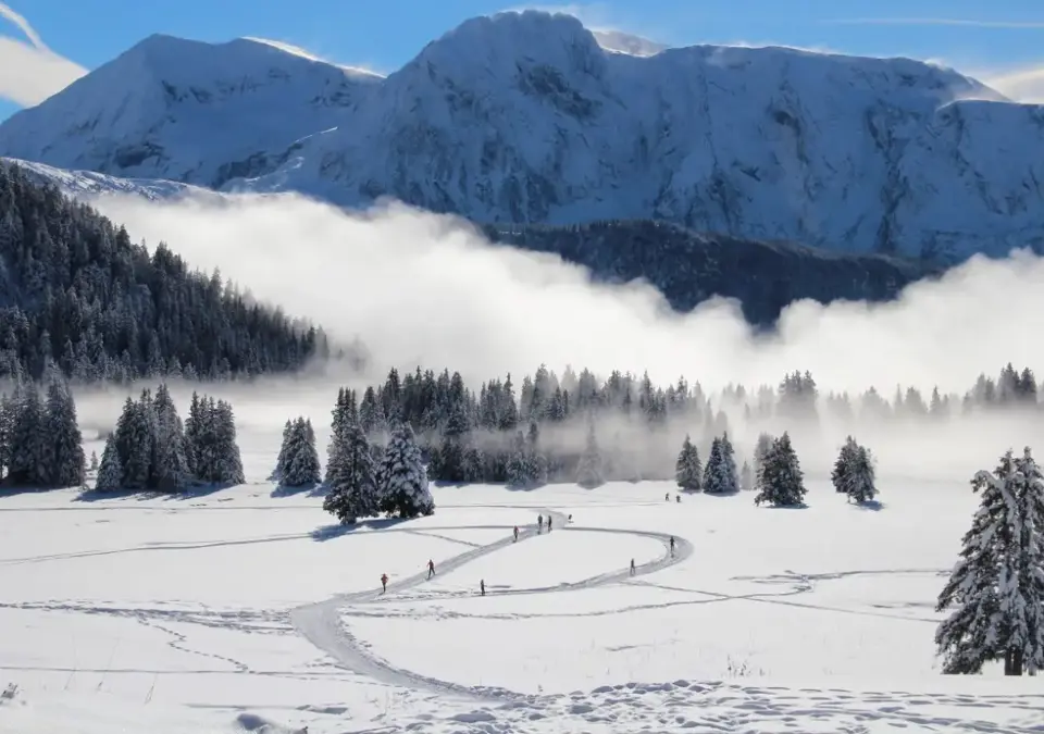 Chamrousse nordic park (©Aeolus).webp