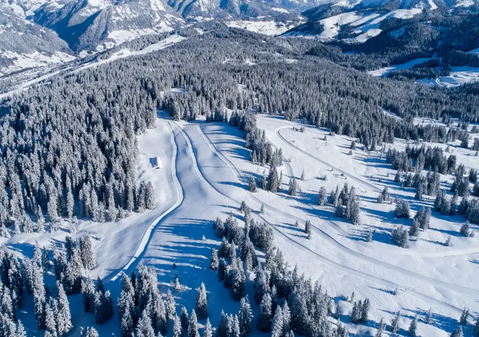 Les Saisies ski slopes (1).webp